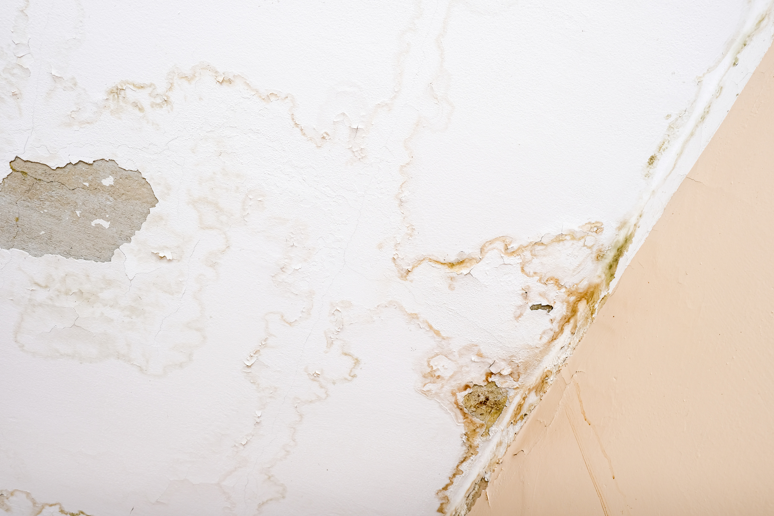 Rain water leaks on the ceiling because of damaged roof causing decay, peeling paint and moldy